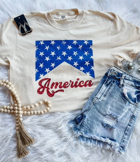America graphic tee PREORDER